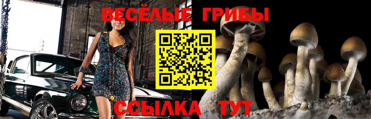 Галлюциногенные грибы ЛСД  Галлюциногенные грибы мухоморы  Вход с VPN  Красноармейск 