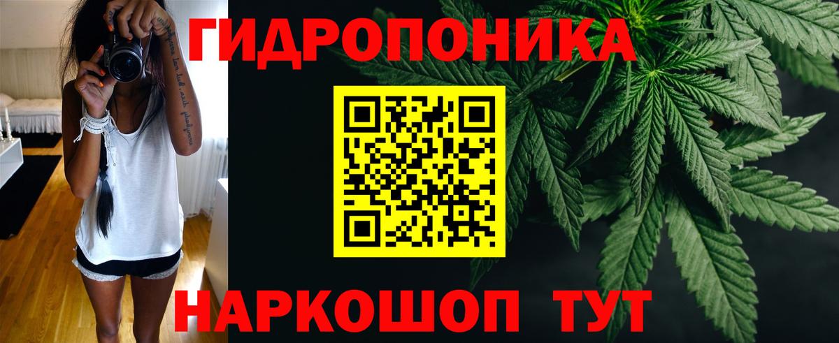 МАРИХУАНА сатива  Вход с VPN  Красноармейск  Шишки марихуана сатива  Марихуана марихуана 